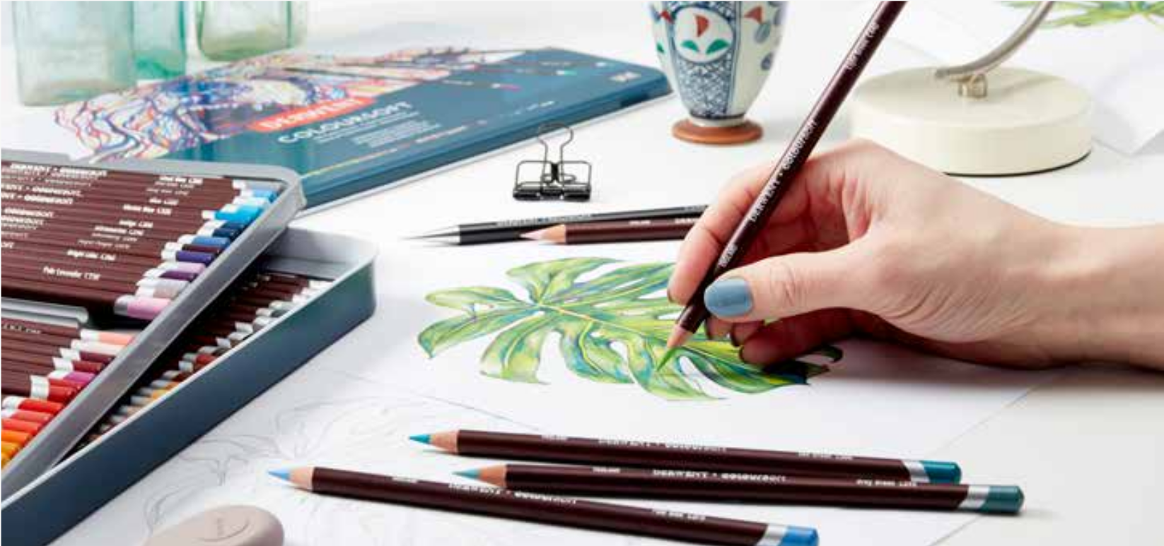 Imagem ilustrativa: Coloursoft