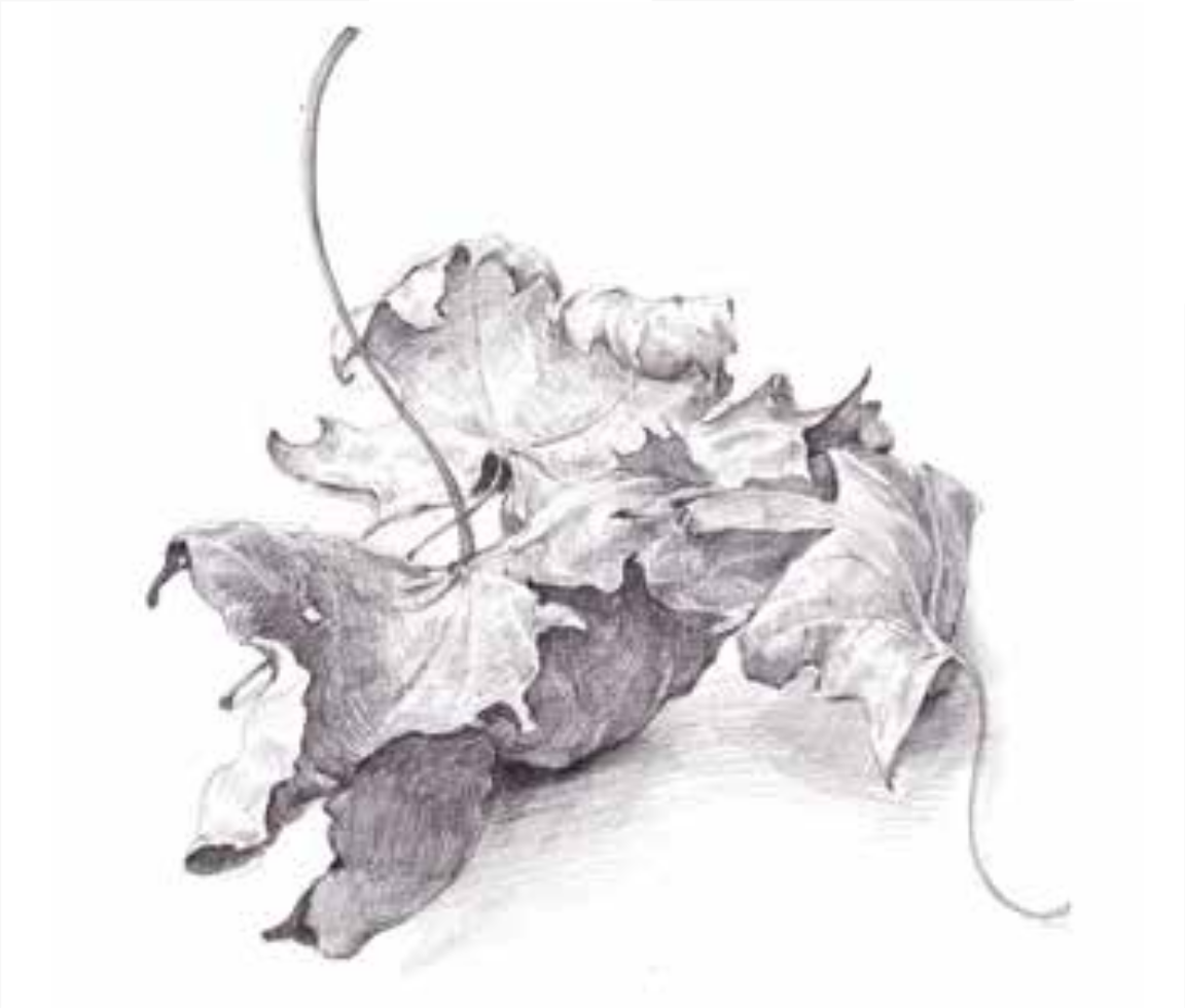Imagem ilustrativa: Graphite