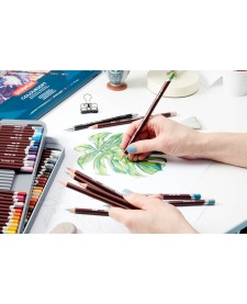 imagem de detalhe produto Lápis de Cor Permanente Coloursoft Unitário Pale Brown